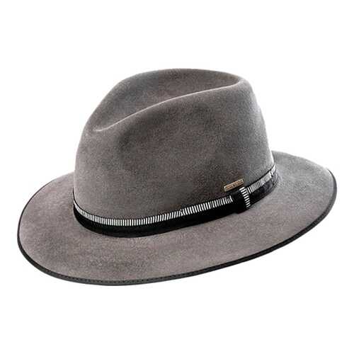 Шляпа мужская Pierre Cardin MICHEL PC-Z07-8348 серая M в Levis
