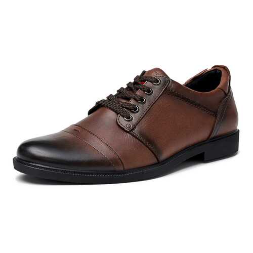 Туфли мужские Alessio Nesca K318A1R коричневые 41 RU в Levis