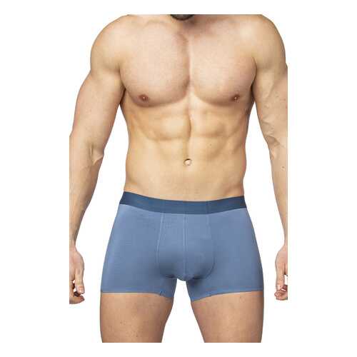 Трусы мужские SERGIO DALLINI SD2901 серые XL в Levis